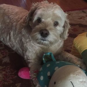 Meet your Posher, Paula